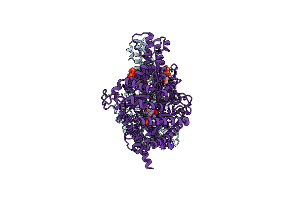 8P2S image