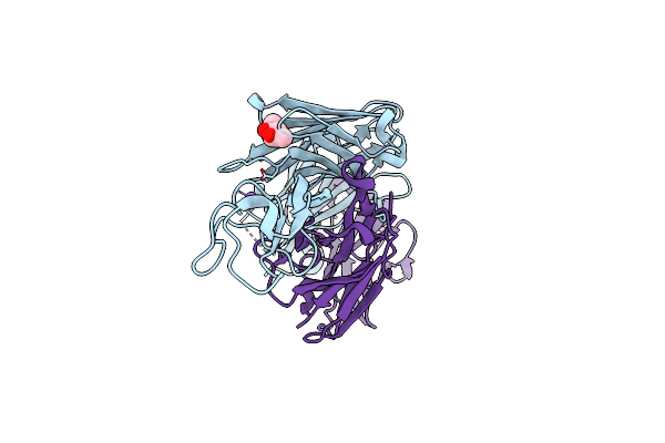 8P2T image