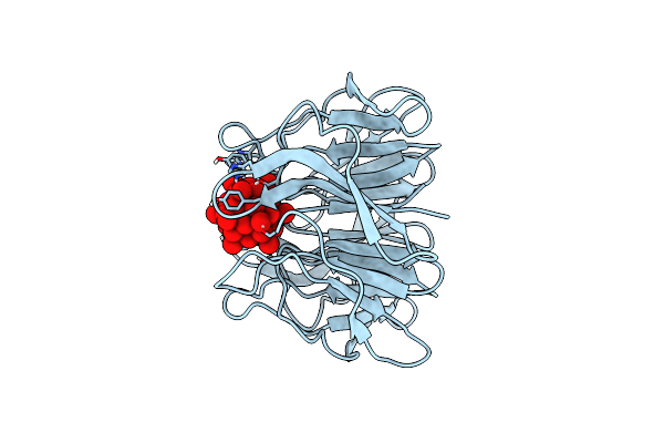8P2U image