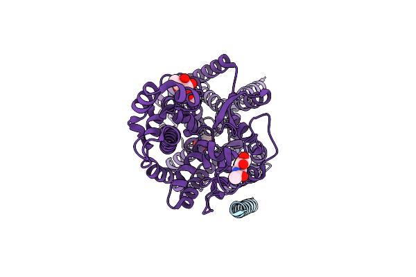 8P2Z image