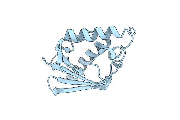8P33 image