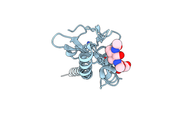 8P36 image
