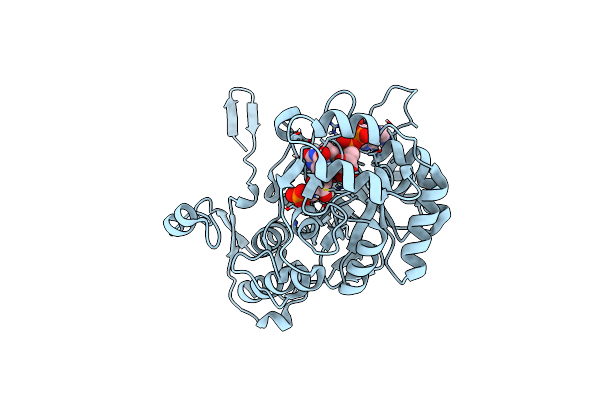 8P37 image