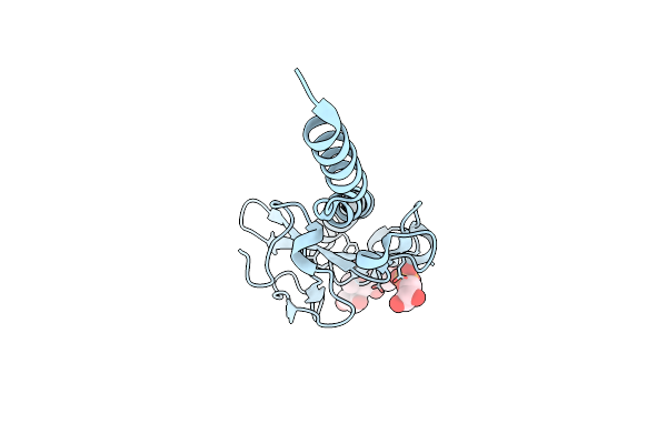 8P3B image