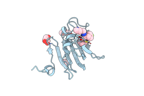 8P3C image