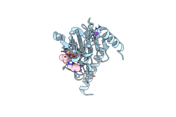 8P3D image