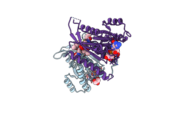 8P3H image