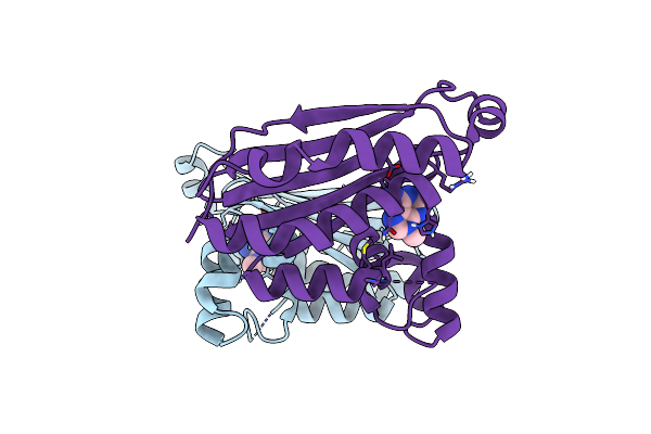 8P3N image