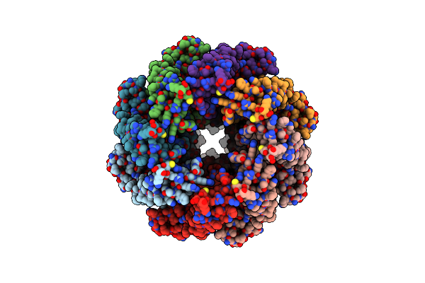 8P3P image