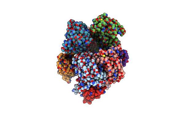 8P3Z image