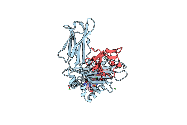 8P43 image
