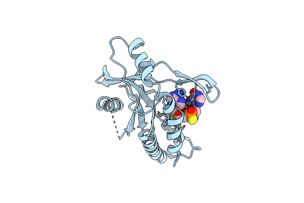8P45 image