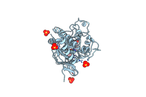 8P46 image