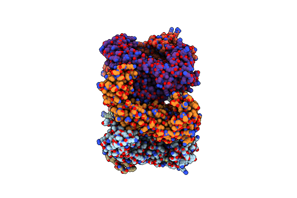 8P49 image