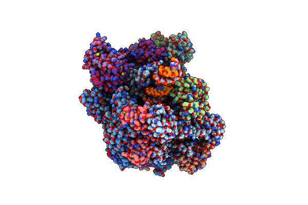 8P4D image