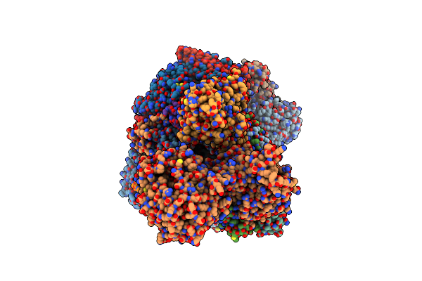 8P4E image