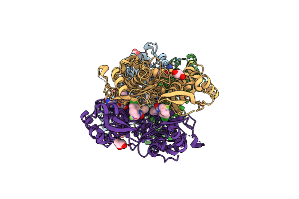8P4H image