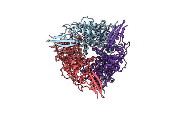 8P4K image
