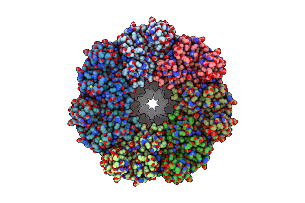 8P4M image
