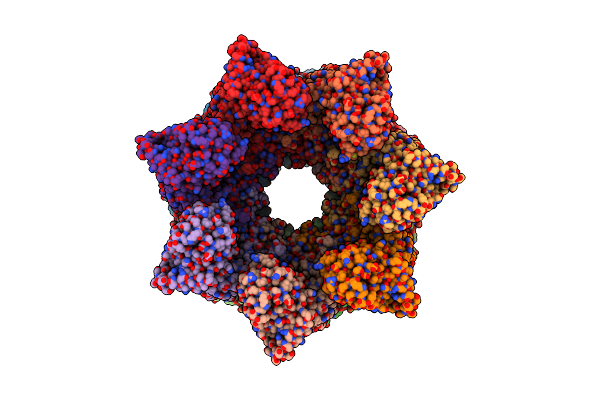 8P4P image