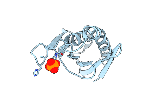 8P4W image