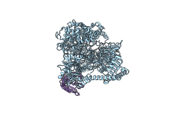 8P50 image