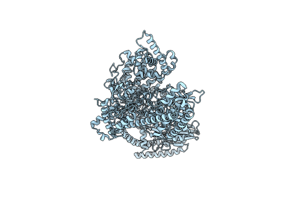 8P51 image