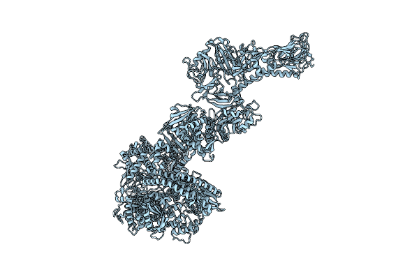 8P52 image