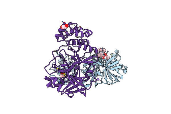 8P54 image