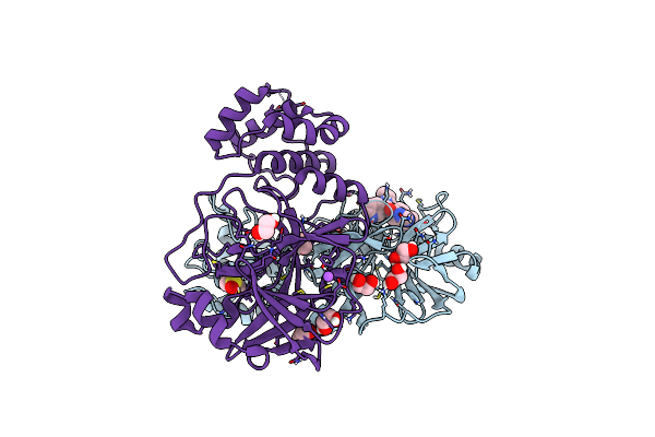 8P56 image