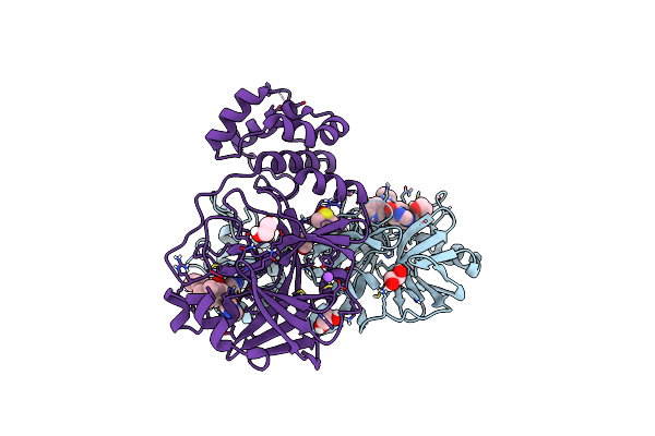 8P58 image