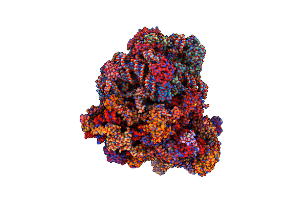 8P5D image