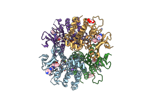 8P5I image