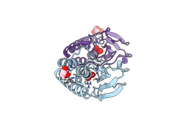 8P5N image