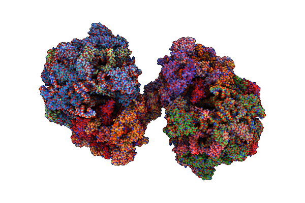 8P60 image