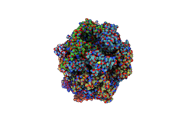 8P62 image