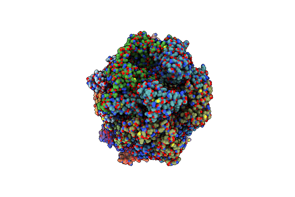 8P63 image