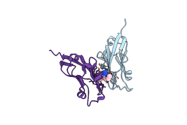 8P64 image