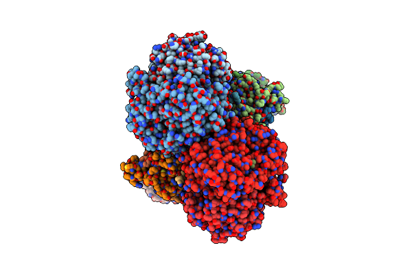 8P65 image