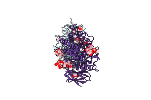 8P67 image