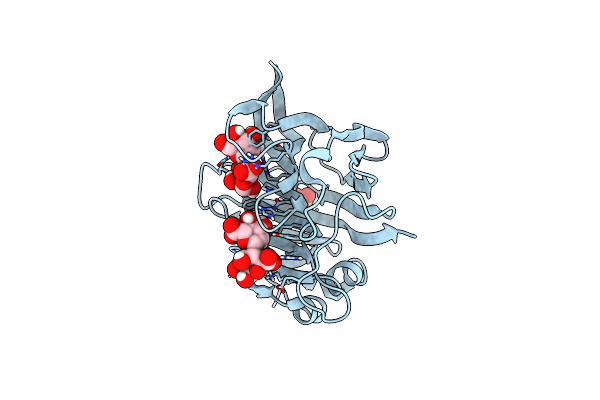 8P6O image