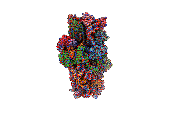 8P6P image