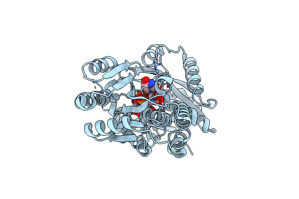 8P6S image