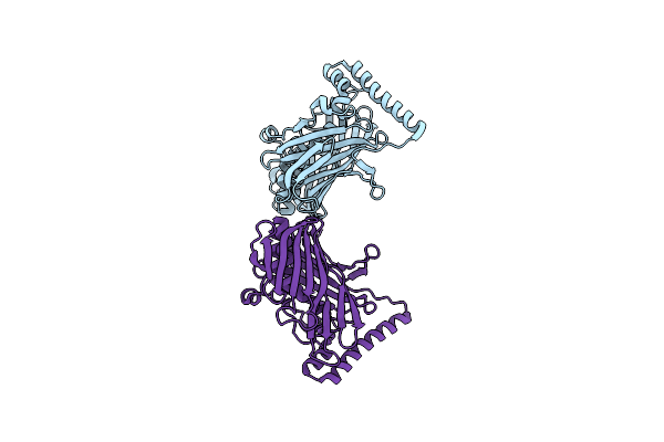 8P7A image
