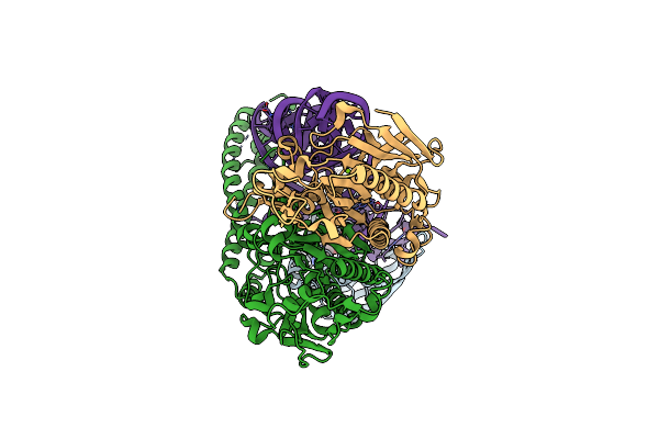 8P7D image