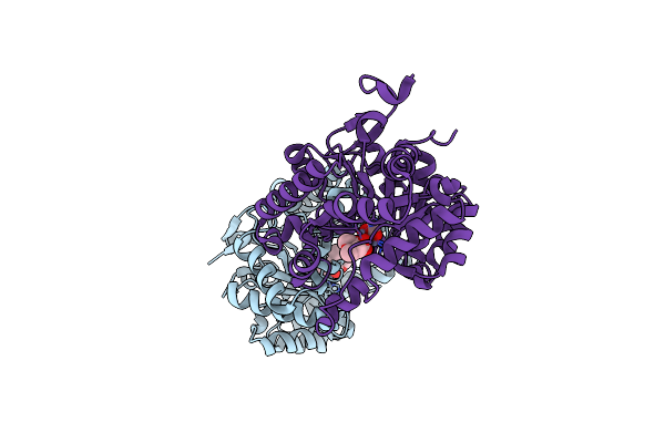 8P7I image
