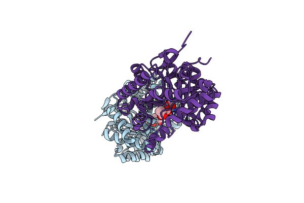 8P7K image