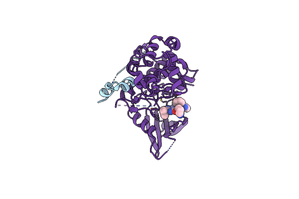 8P7L image
