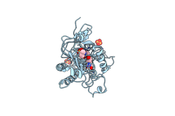 8P7P image