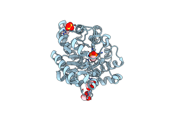 8P7R image